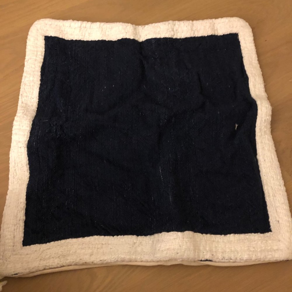 West Elm Decor Pillow Case